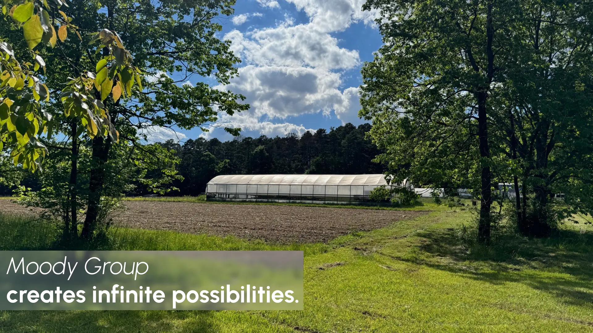 White - Land